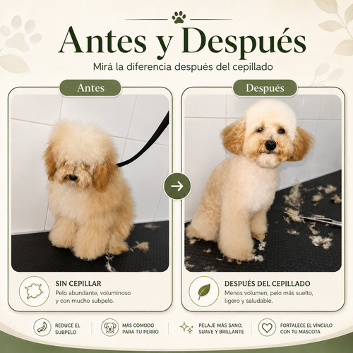 Cepillo Antinudos Mascotas